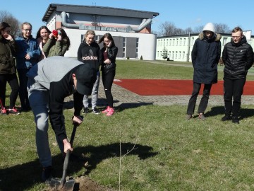 Akcja 100 drzew na 100-lecie województwa łódzkiego w SP w Wojsławicach, <p>Archiwum OT SPK</p>